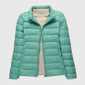 Hooded Turquoise